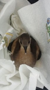 20141101_131953 (2).jpg