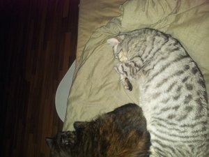 20130831_010159.jpg 20130831_010159.jpg