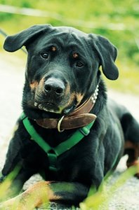 Diego2kl.JPG Diego2kl.JPG