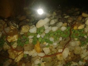 2014-11-04 15.46.29.jpg