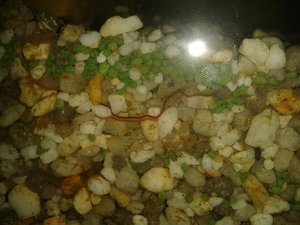 2014-11-04 15.48.06.jpg