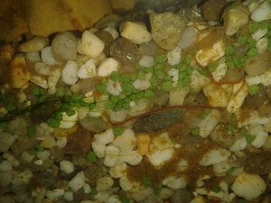 2014-11-04 15.48.15.jpg