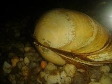 2014-11-04 17.37.34.jpg