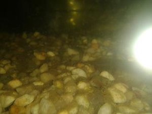 2014-11-05 15.40.50.jpg