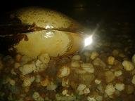 2014-11-05 15.41.48.jpg