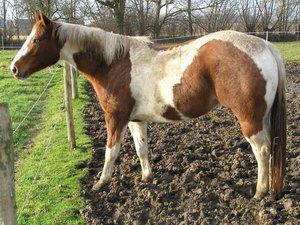 P1140026 (640x479).jpg