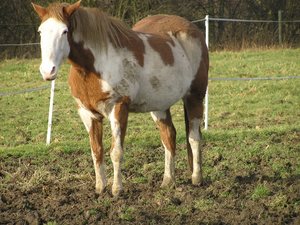 P1140028 (640x479).jpg