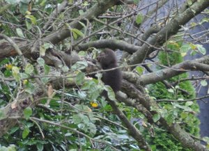 DSC_0485 - Kopie.JPG