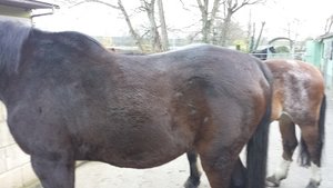 20141125_160741.jpg 20141125_160741.jpg