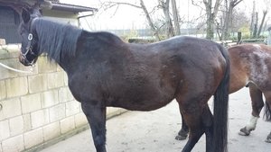 20141125_160633.jpg 20141125_160633.jpg