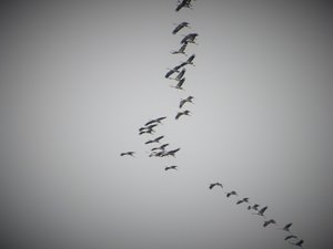 IMG_2963 (2) (1024x768).jpg IMG_2963 (2) (1024x768).jpg