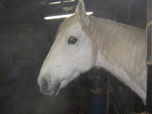 IMG_0423 (640x480).jpg