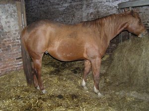 P1010132 (640x479).jpg