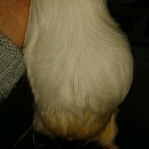 2015-01-04 10.07.23-1.jpg 2015-01-04 10.07.23-1.jpg