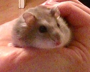 WP_20150105_015 - Kopie.jpg