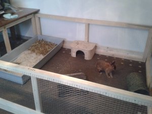 Gehege von Chester 2.jpg