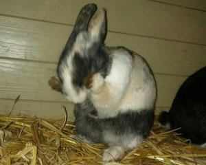 uploadfromtaptalk1420984833390.jpg uploadfromtaptalk1420984833390.jpg