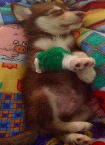 ImageUploadedByTapatalk1421130754.935829.jpg ImageUploadedByTapatalk1421130754.935829.jpg