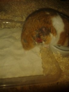 2015-01-16 21.59.29.jpg