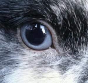 uploadfromtaptalk1421504383823.jpg uploadfromtaptalk1421504383823.jpg