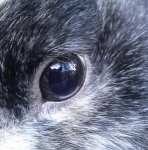 uploadfromtaptalk1421504399022.jpg uploadfromtaptalk1421504399022.jpg