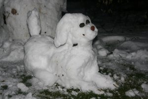 IMG_7941 (1024x683).jpg