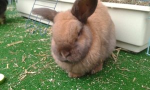 20150124_162202.jpg 20150124_162202.jpg