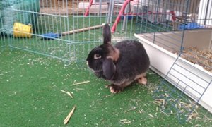 20150124_162215.jpg 20150124_162215.jpg