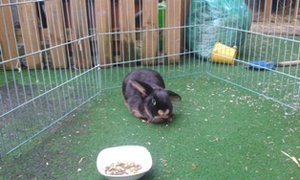 20150124_162219.jpg 20150124_162219.jpg