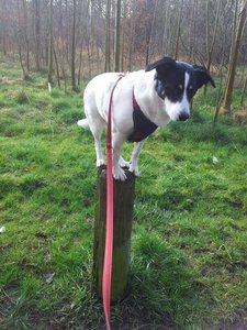 IMG-20140401-WA0045.jpg IMG-20140401-WA0045.jpg