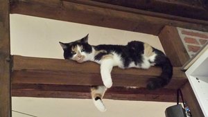 20150209_010152.jpg 20150209_010152.jpg