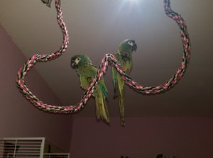 IMAG0403 (800x594).jpg