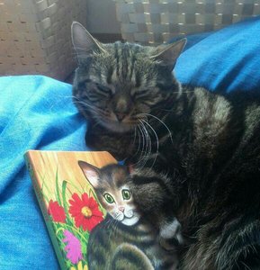 uploadfromtaptalk1426875437296.jpg uploadfromtaptalk1426875437296.jpg