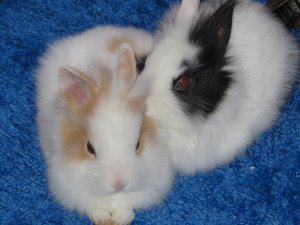 IMG_4897 - Kopie.JPG IMG_4897 - Kopie.JPG