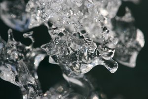 IMG_8064 (1024x683).jpg IMG_8064 (1024x683).jpg