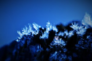 IMG_8089 (2) (1024x683).jpg IMG_8089 (2) (1024x683).jpg