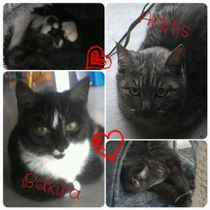 20141119_184405.jpg 20141119_184405.jpg