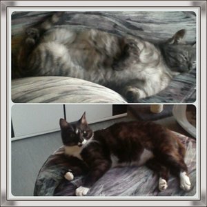 20150220_134505.jpg 20150220_134505.jpg