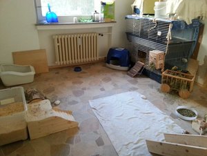 20150214_150110.jpg 20150214_150110.jpg