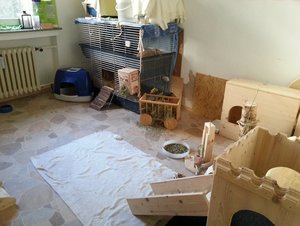 20150214_150106.jpg 20150214_150106.jpg