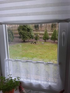 b5z74c7h.jpg b5z74c7h.jpg