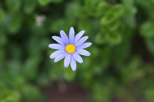 IMG_6744.JPG IMG_6744.JPG