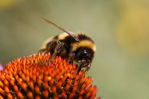 IMG_6767.JPG IMG_6767.JPG