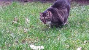 20150315_165414.jpg 20150315_165414.jpg