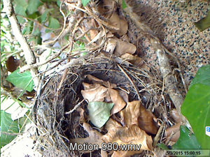 Screenshot 2015-03-10 11.32.20.jpg Screenshot 2015-03-10 11.32.20.jpg