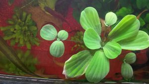 a20150318_130114_1 (1024x576).jpg a20150318_130114_1 (1024x576).jpg