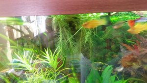 20150318_130427 (1024x576).jpg 20150318_130427 (1024x576).jpg