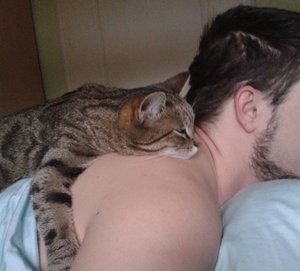 meins2.jpg meins2.jpg