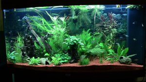 IMG_0109 (1024x576).jpg