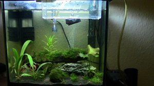 IMG_0112 (1024x576).jpg